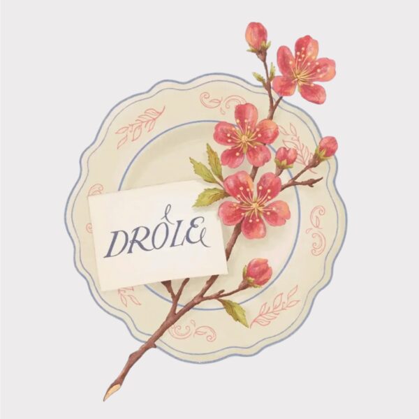 T-shirt Drôle Porcelaine Drôle de Monsieur