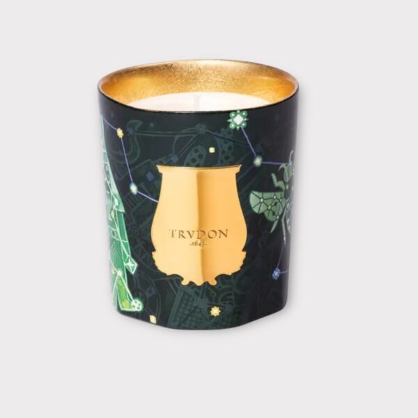 BOUGIE FIR TRUDON