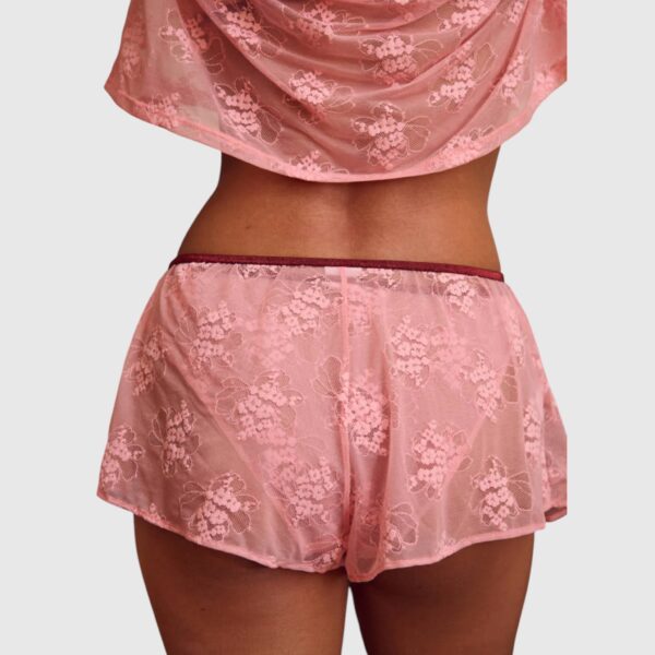 Short Abel La Nouvelle