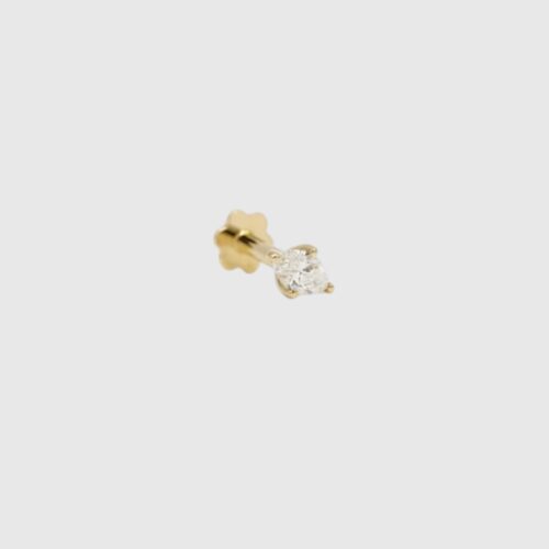 Piercing Drop The Wild JWLS