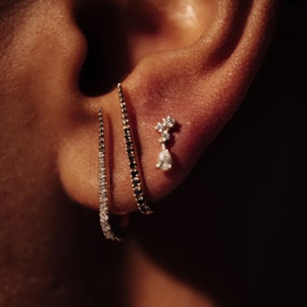 Piercing Alex The Wild JWLS