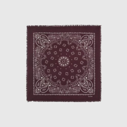 Photoroom_20261014_182630 Foulard Hachiko Bordeaux Kujten